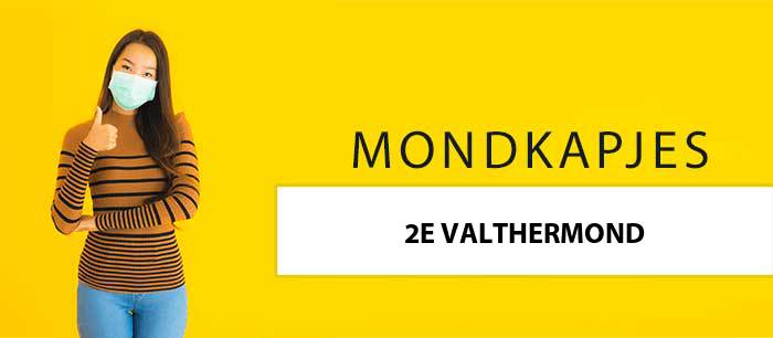 mondkapjes-kopen-2e-valthermond-7877