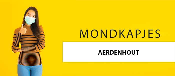 mondkapjes-kopen-aerdenhout-2111