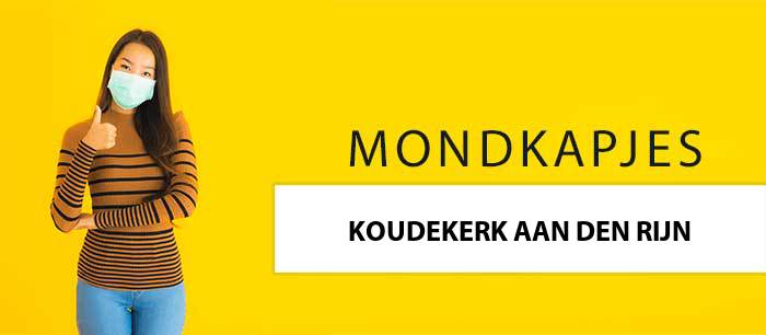 mondkapjes-kopen-koudekerk-aan-den-rijn-2396