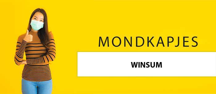 mondkapjes-kopen-winsum-8831